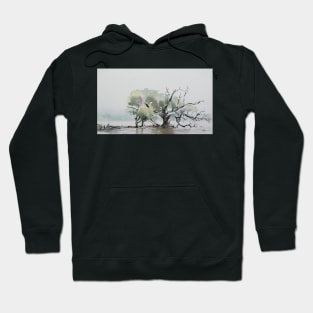 Old Oak Tree Hoodie